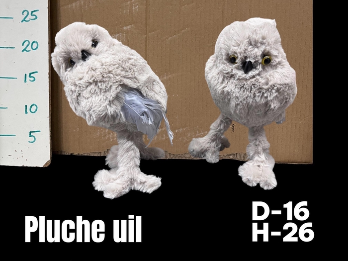 <h4>HUIS EN TUINDECO H%</h4>