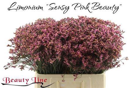 Lim Sin Sen Pin Beau