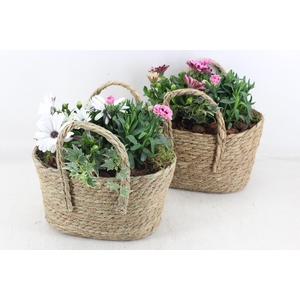 arr4 Outdoor PL - Mand hengsel ovaal 344/4