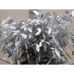 Chasmanthium Zilver