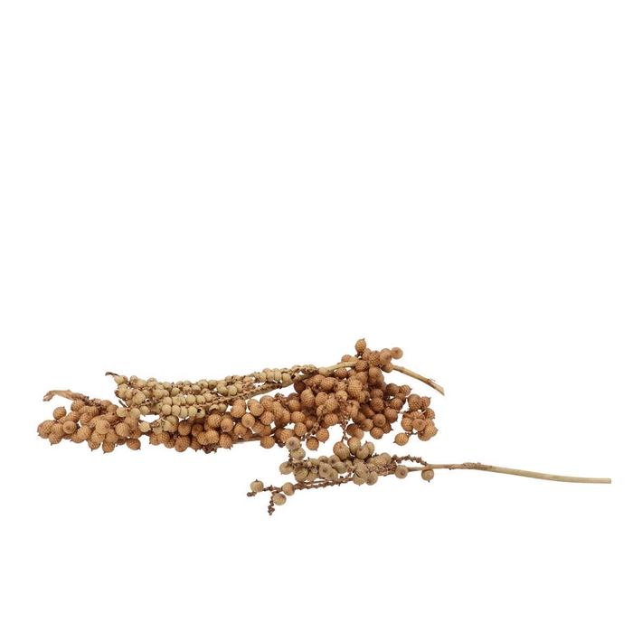 <h4>Pick Nature Canella Natural P/30</h4>