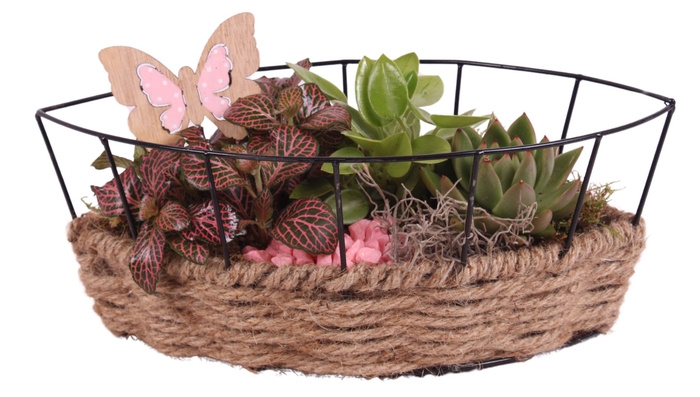<h4>Opm Summer Arr. Indoor Metal Frame Rope Boat</h4>
