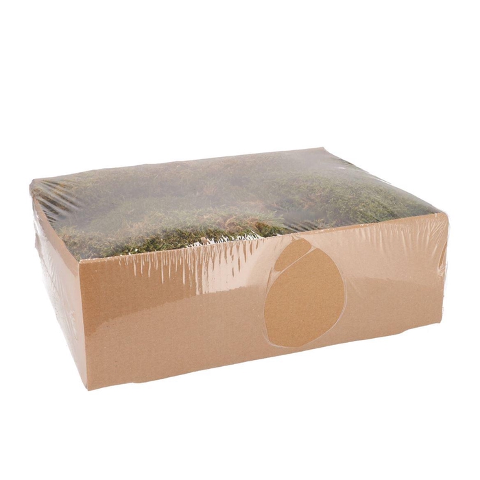 <h4>Nature Moss Green +/- 500gr</h4>