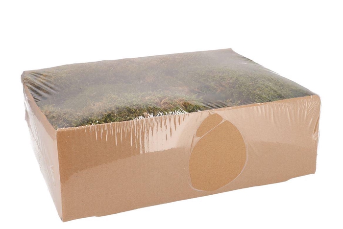 Nature Moss Green +/- 500gr
