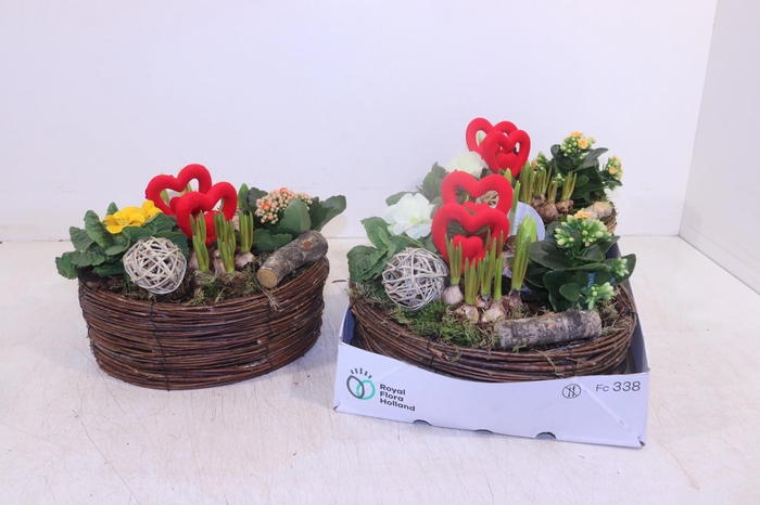 <h4>ARR PL IN SCHAAL</h4>