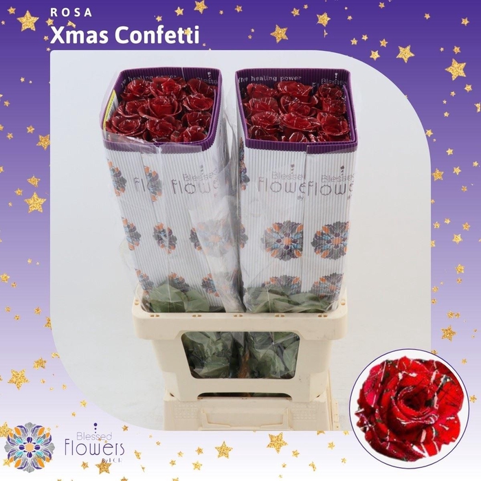 <h4>Rosa gr Colored Xmas Confetti</h4>