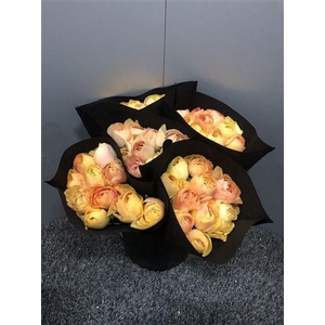 Ran Suc Gran Pastel Sup