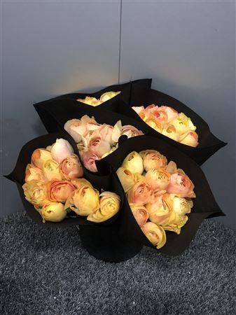 Ran Suc Gran Pastel Sup