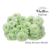 CHR T ALTAJ GREEN BLUSH