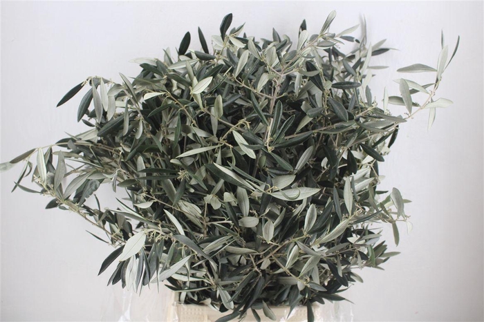 <h4>Olijf 300gr P Bunch</h4>