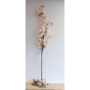 CHERRY BLOSSOM SPRAY CREAM PINK FL4 L160