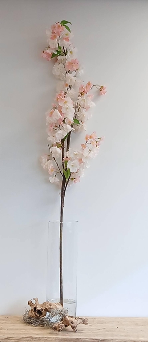 <h4>CHERRY BLOSSOM SPRAY CREAM PINK FL4 L160</h4>