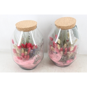 arr2 MB - Droogbl. - Glas New York x3