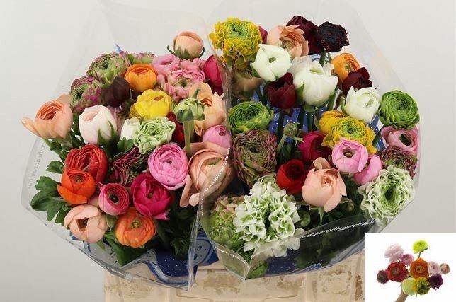 <h4>RAN GEM IN BOS</h4>