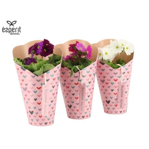 2501082: Solutionss Lovess