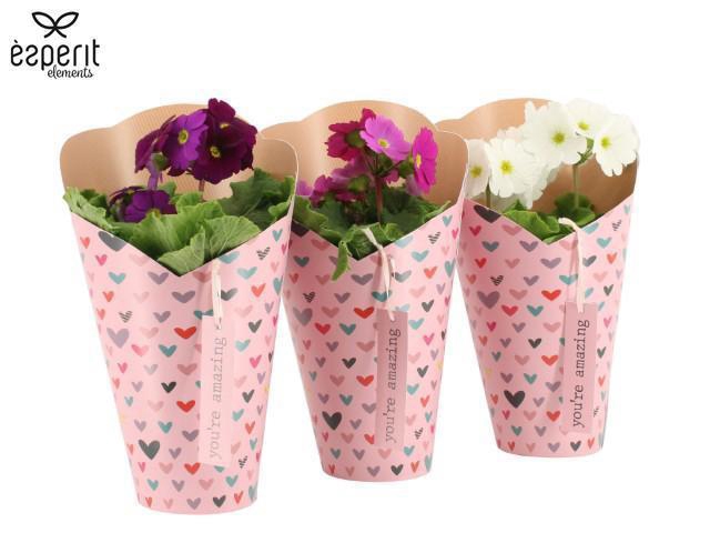 <h4>2501082: Solutionss Lovess</h4>