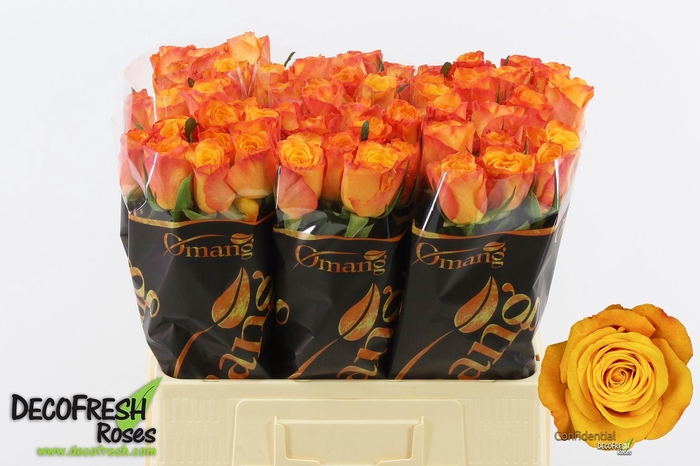 <h4>R Gr Confidential</h4>