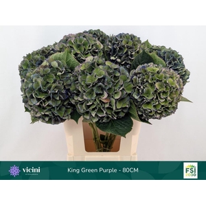 HYDR M ROYAL KING CL