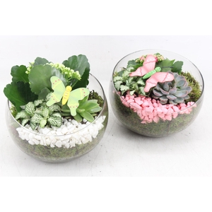 Arr2 Pl - Glas Bol Schuin - Roze/wit