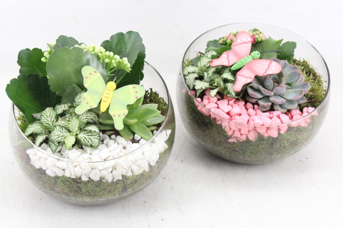 <h4>arr2 PL - Glas bol schuin - roze/wit</h4>