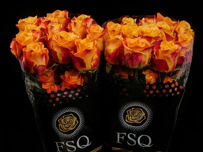 <h4>R GR Silantoi Xl Box</h4>