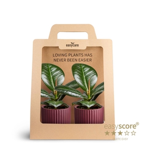 2-Pack Nordic Aubergine, Sofia P7