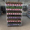 Fuchsia B F Mixk