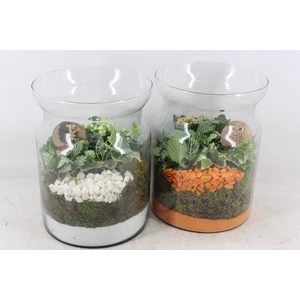 arr2 PL - Glas bose hoog x5 - oranje/wit