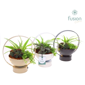 LED planter zink schaal met arrangement