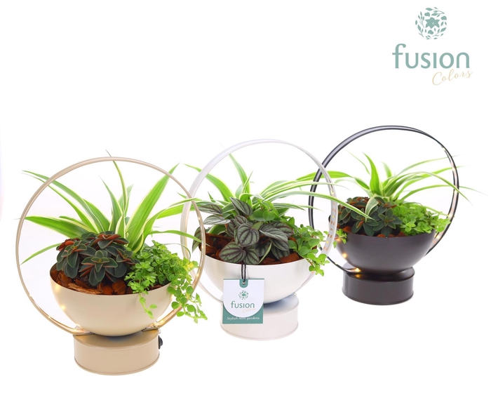 <h4>LED planter zink schaal met arrangement</h4>