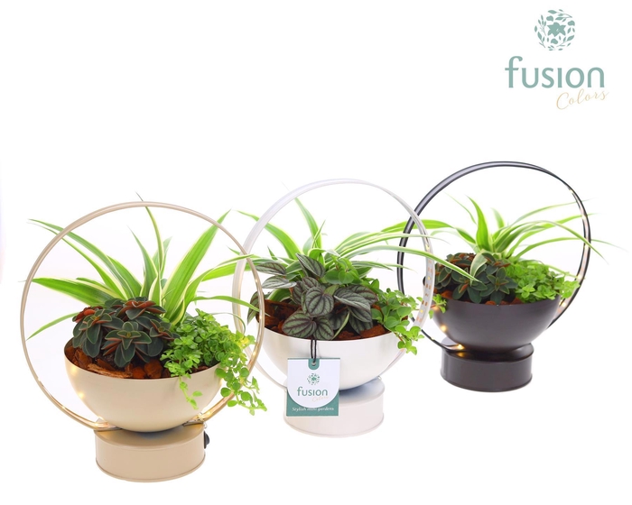 <h4>LED planter zink schaal met arrangement</h4>