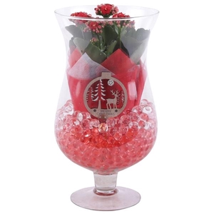 Christmas Arr. Indoor Glass Cognac Glass Ø17cm 1PP