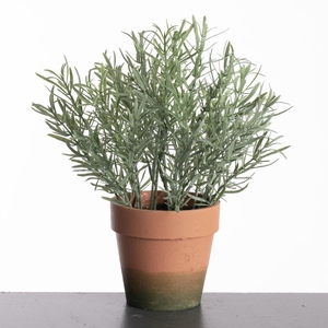 AF Rosemarinus pot H29cm Grey
