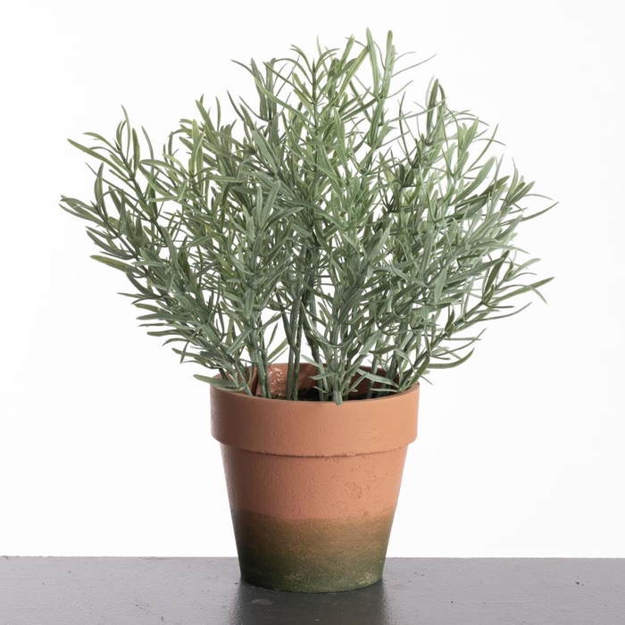 <h4>AF Rosemarinus pot H29cm Grey</h4>