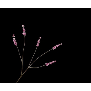 LAVENDEL TAK ROZE 85 cm