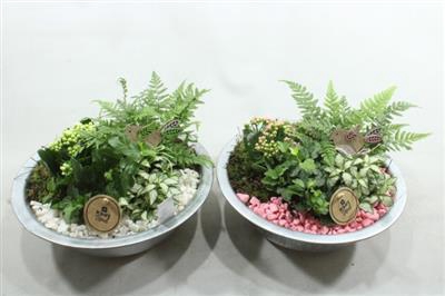 <h4>2080 ZINK ROZE/WIT</h4>