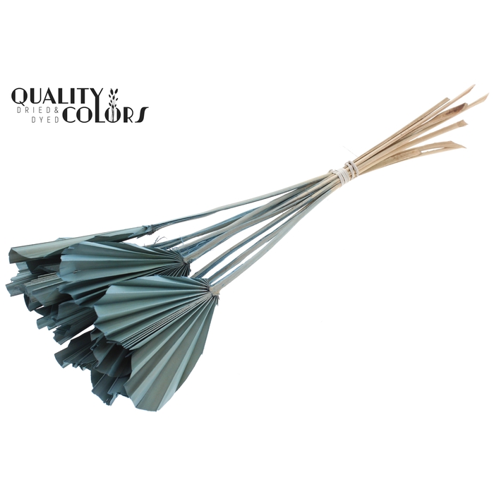 <h4>Palm Spear Heart per stem Frosted Light Blue</h4>