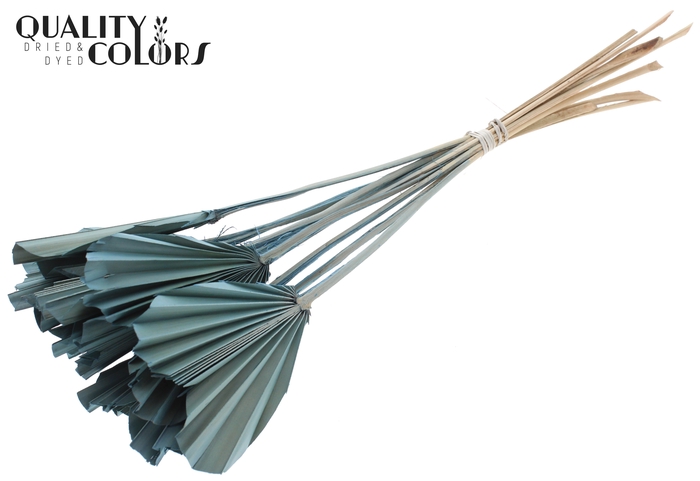 Palm Spear Heart per stem Frosted Light Blue