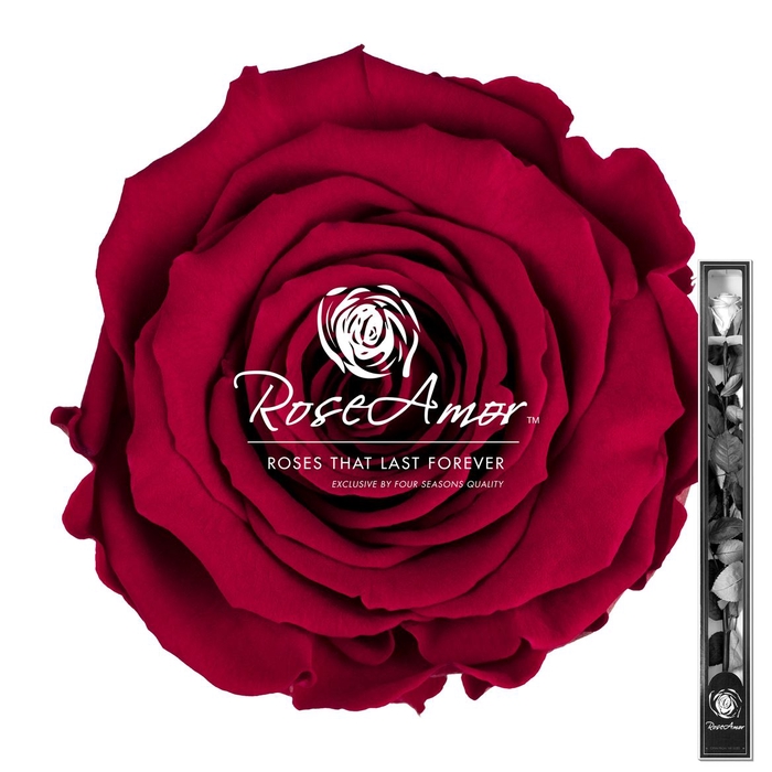 60cm Stem Pin02