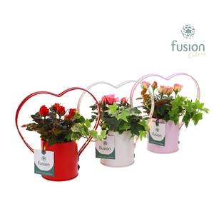 Planter LED zink hartvormSmall met arrangement