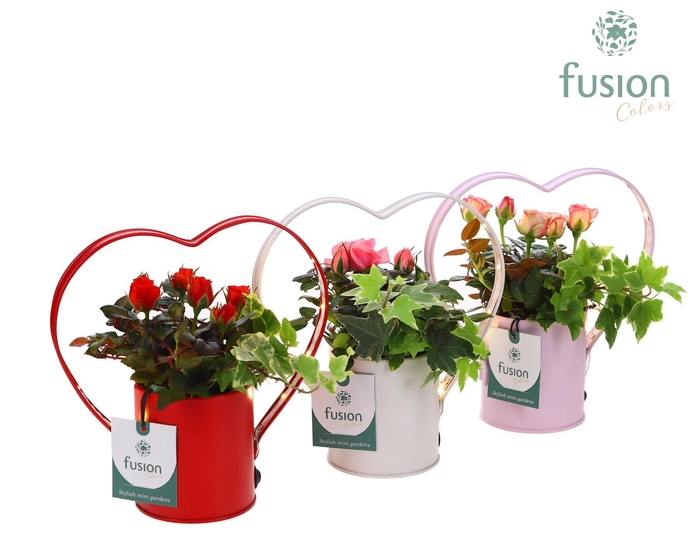 <h4>Planter LED zink hartvormSmall met arrangement</h4>