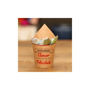 CACHEPOT KRAFT 10 CM X 06 CM C/20 QUEM PLANTA AMOR COLHE FELICIDADE
