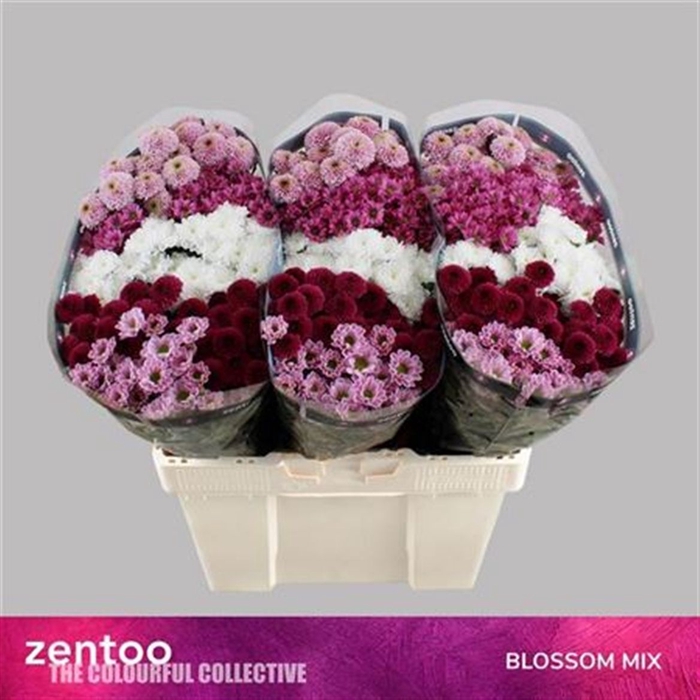 <h4>Sant Sweet Mixed</h4>