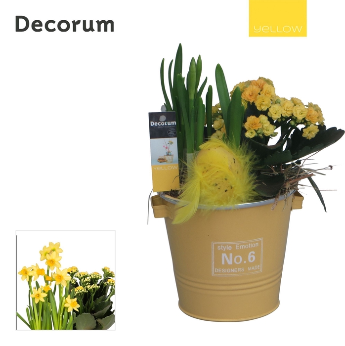 <h4>Calandiva & Narcis Colourful Bucket HL26580 [YELLOW]</h4>