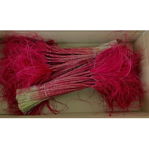 Df Stypha 60cm Bs Red