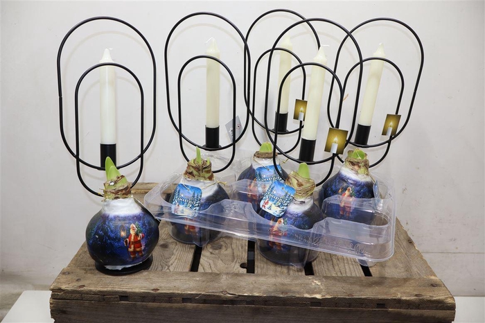 <h4>Bloembol Hipp + Metal Candle</h4>