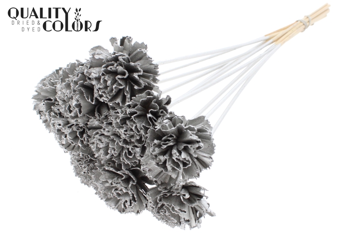 Shola Karnish Flower 6cm on stem Platina
