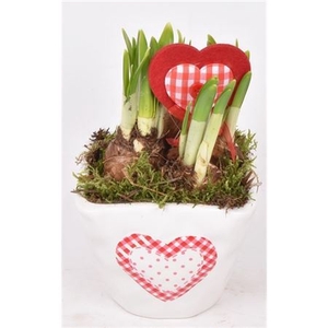 Narcis 21282 Keramiek Met Hart