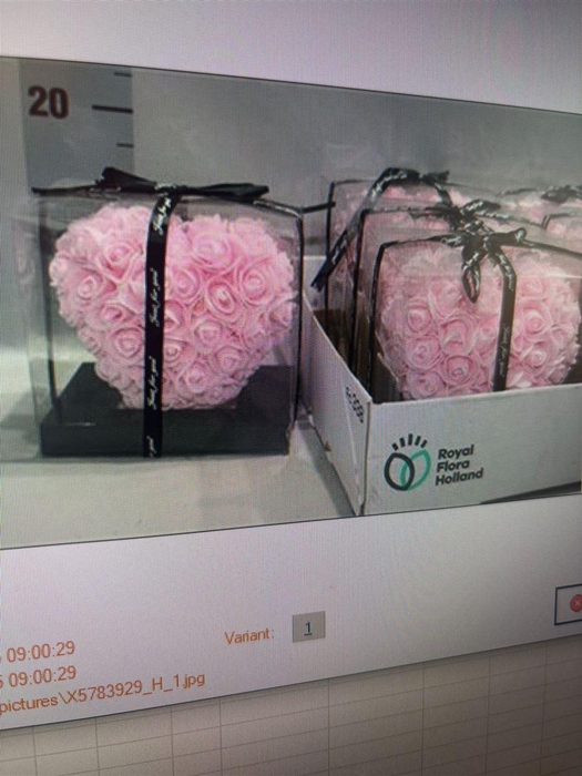 <h4>Deco Heart Pink 14cm</h4>