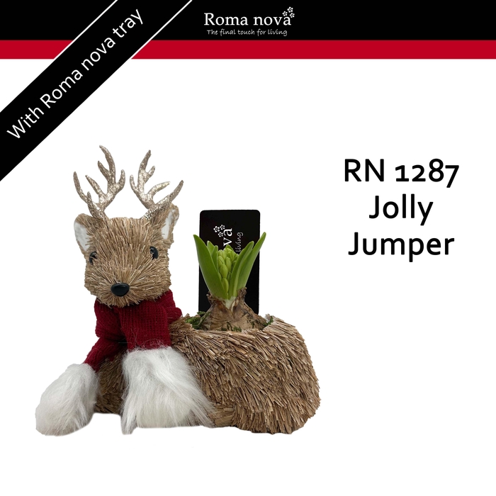 <h4>1287 - Jolly Jumper (Hyacint)</h4>